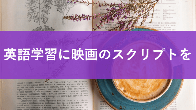 映画のスクリプト 英語の勉強におすすめな日本語対訳付き レベル別15選